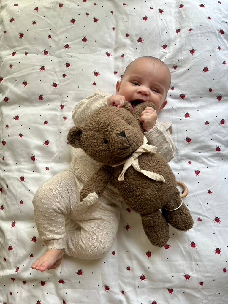 Teddy bear with music - Wood