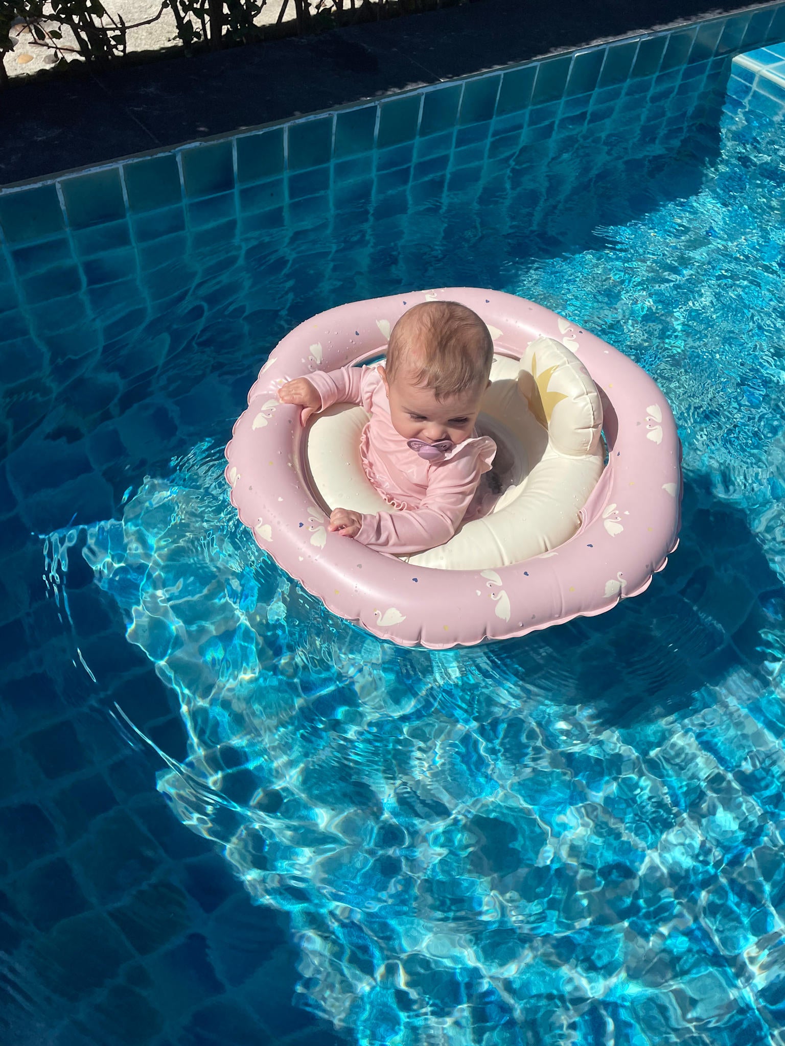 Baby bath ring - Rose - Swan